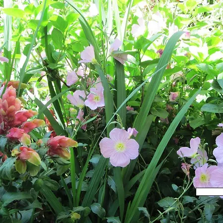 And Tavern Leo ساراندا