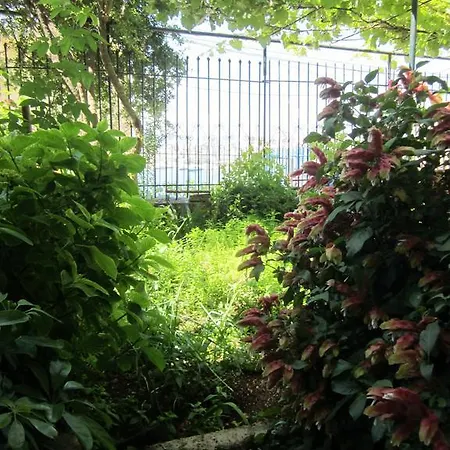 Konukevi And Tavern Leo *