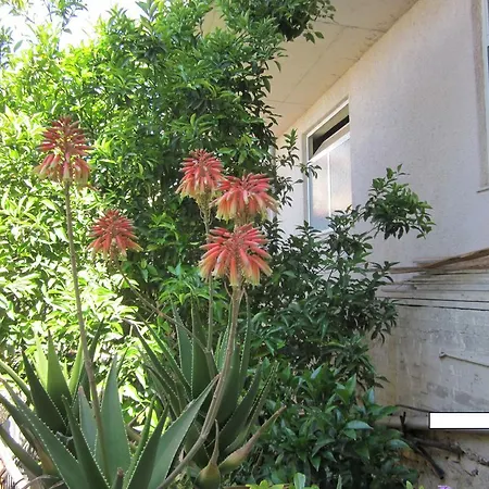 Konukevi And Tavern Leo