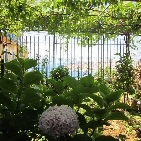 Konukevi And Tavern Leo