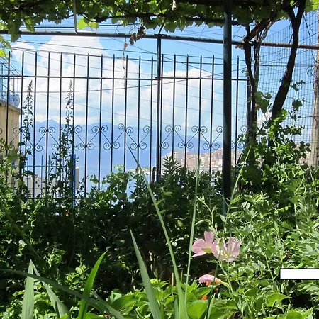 בית הארחה And Tavern Leo *