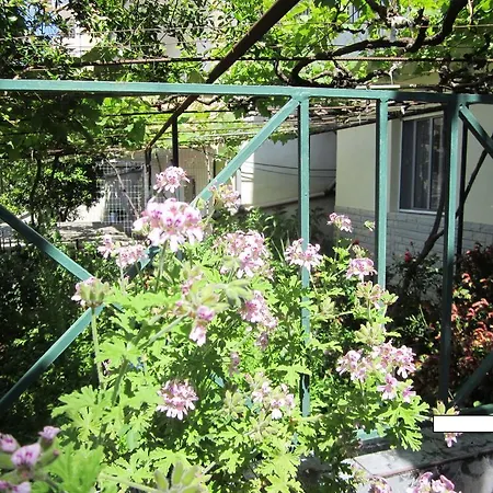 בית הארחה And Tavern Leo