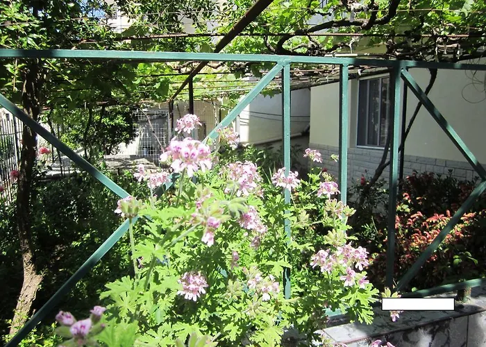 게스트하우스 And Tavern Leo